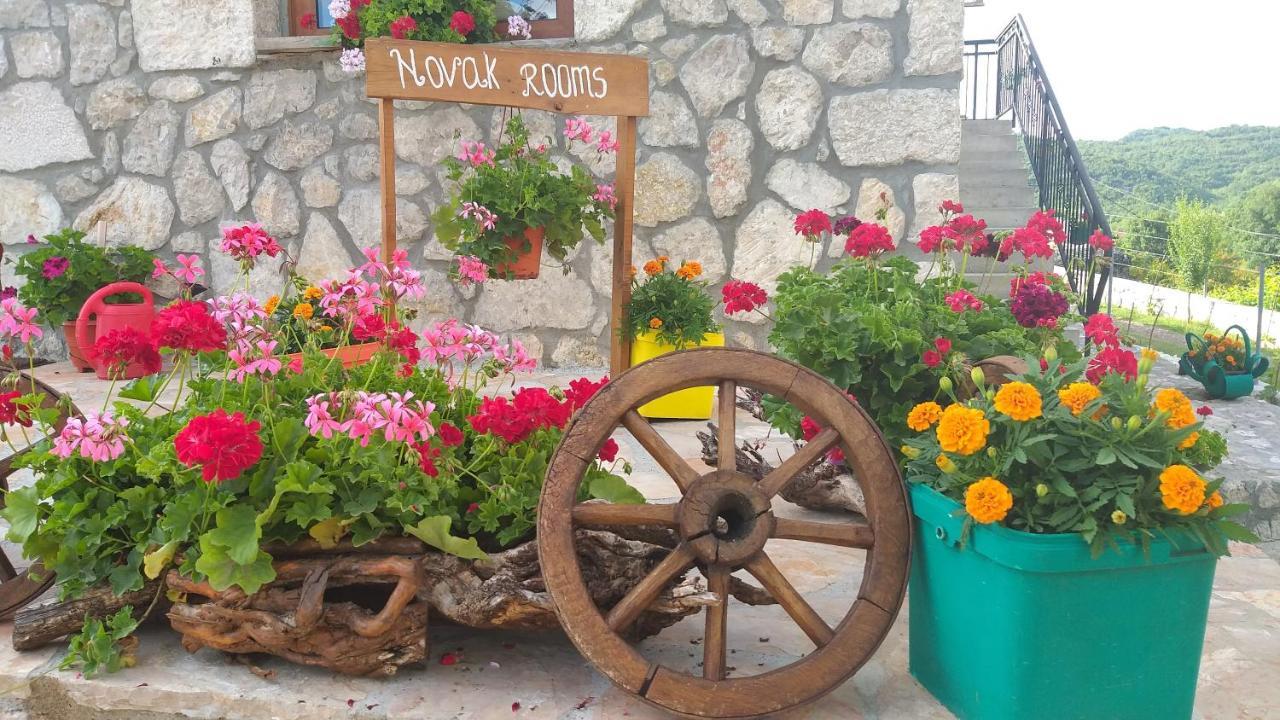 Village House - Novak Rijecani Rijeka Crnojevića Exteriör bild