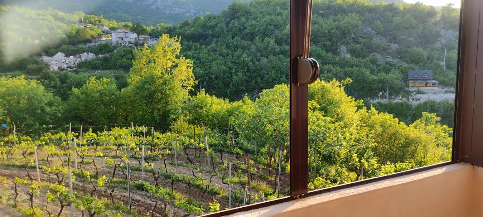 Village House - Novak Rijecani Rijeka Crnojevića Exteriör bild